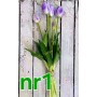 Tulipan silikonowy Rozmiar 40CM