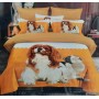 Komplet Pościeli 5D 4-Częściowy Rozmiar: 200x220 cm STAN FAKTYCZNY  Kod LNN-16