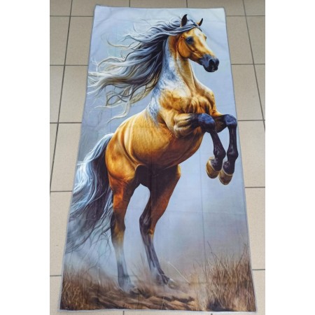 Ręcznik Plażowy 70x140 cm Kod: B7-14