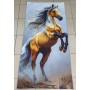 Ręcznik Plażowy 70x140 cm Kod: B7-14