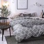 Komplet Pościeli Dwustronna 3-Częściowy Rozmiar: 200X220 cm Kod: PAR-2A